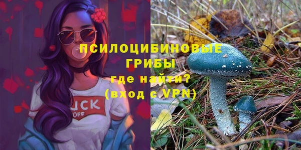 ECSTASY Абаза