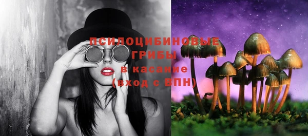 эйфоретик Абинск